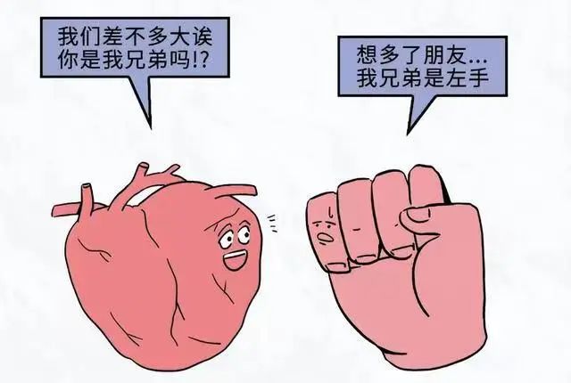 “心事”知多少 | 这个身体的“劳模”可不一般！